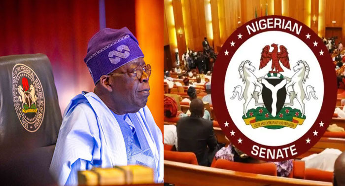 2027: Over 1,000 Islamic Clerics Urge Tinubu not to Contest, Cite Hardship, Insecurity