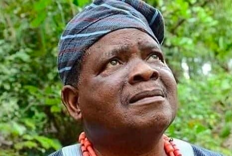 Veteran Actor and Scholar Kola Oyewo Dies at 80